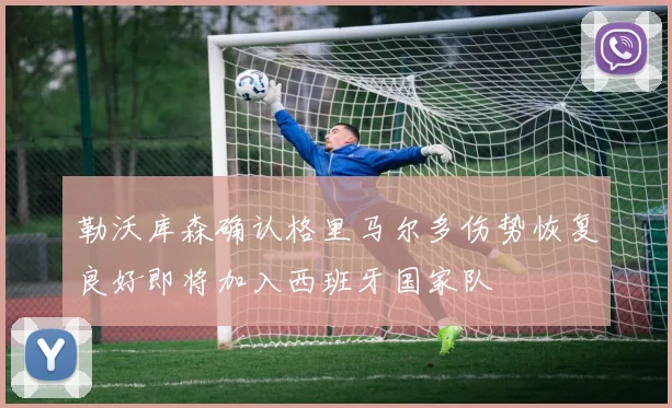 勒沃库森确认格里马尔多伤势恢复良好即将加入西班牙国家队