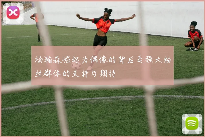 杨瀚森崛起为偶像的背后是强大粉丝群体的支持与期待