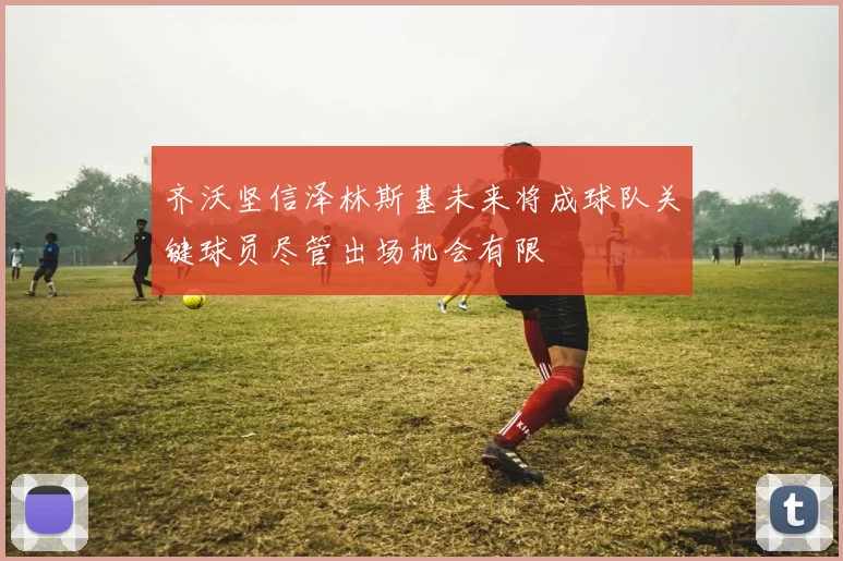 齐沃坚信泽林斯基未来将成球队关键球员尽管出场机会有限