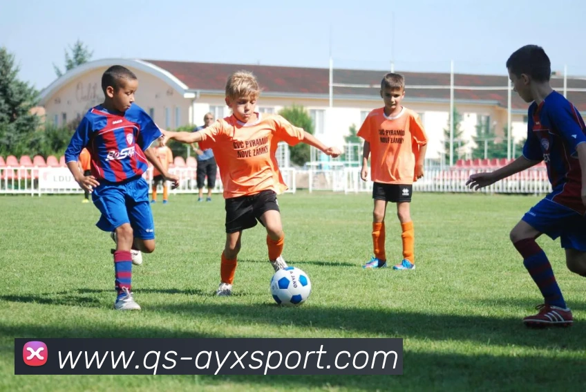 爱游戏体育平台生态图